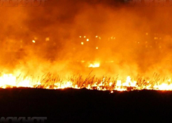 В Новохоперском районе поймали  поджигателя сухой травы