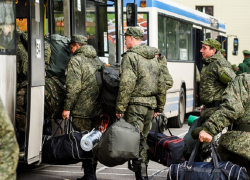 Очередной фейк о весенней мобилизации опровергли в Воронежской области