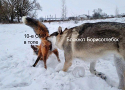 «Блокнот-Борисоглебск» рвет рейтинги в ТОПе самых читаемых СМИ Воронежской области