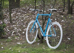 В Борисоглебске местный житель предстанет перед судом за кражу велосипеда