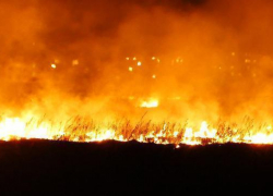 Пожар на окраине Борисоглебска