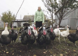 Школьница из Терновского района победила во Всероссийском конкурсе 