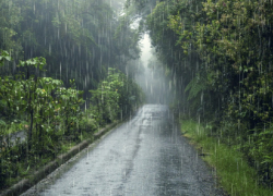 Дожди с грозами ожидаются в Воронежской области в начале рабочей недели