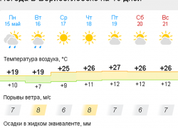  Летняя жара придет в Борисоглебск во второй половине текущей недели