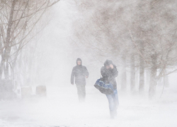 Сильный снегопад с метелью пообещали жителям Воронежской области еще, как минимум, на сутки