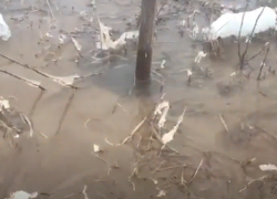 В селе Губари дали воду, но до жителей она не дошла