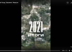  «Елочка нам  нравится…»: непраздничные итоги 2021 года в Воронежской области 
