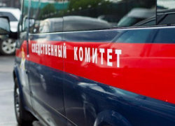 Убившую родную мать 53-летнюю женщину хотят отправить на принудительное лечение