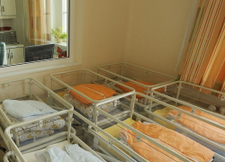 Жители Воронежской области стали реже жениться, чаще разводиться и меньше рожать