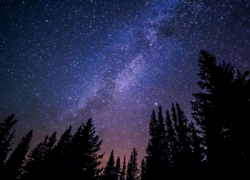 На следующей неделе жители Воронежской области смогут увидеть самый яркий звездопад лета