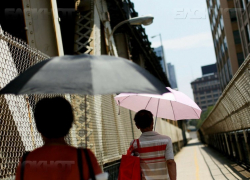 Из-за жары в Воронежской области объявлено штормовое предупреждение