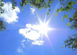 38-градусная жара не думает покидать Воронежскую область