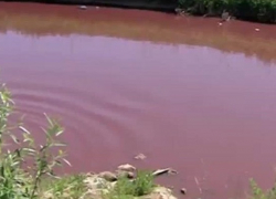 История с продолжением. Грибановский пруд вновь изменил окраску