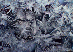 Стало известно, когда в Воронежскую область вернутся морозы