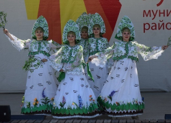 Воронежцы по достоинству оценили программу Дня культуры Борисоглебского городского округа