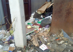 Мысли вслух по актуальному для Борисоглебска мусорному вопросу