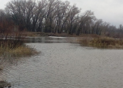 Мост в Борисоглебском районе так и не всплыл 