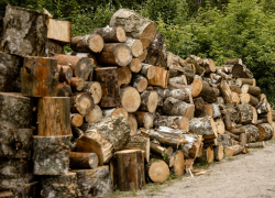  Житель Черноземья пытался утащить дрова, собранные волонтерами для бойцов СВО