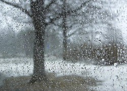 Когда весна придет, не знаю. Погода на апрель в Борисоглебске