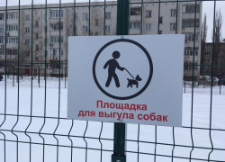 Борисоглебским собакам предложили какать по графику