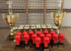 112 боксеров из 9-ти регионов России приняли участие в межрегиональном турнире в Борисоглебске