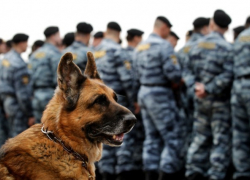 В Борисоглебске для охраны общественного порядка в День города привлекут дополнительные силы