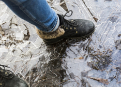 В декабре в Воронежской области из-за гололеда пострадали 816 человек