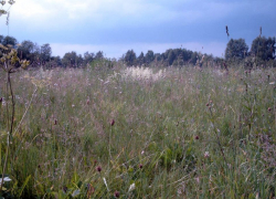 Борисоглебского фермера оштрафовали на 20 000 рублей