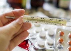 За неделю из-за гриппа и ОРВИ к врачам обратились 19 тыс жителей Воронежской области