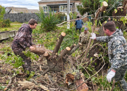 Сотрудники администрации вышли на субботник в преддверии месячника благоустройства в Грибановском районе