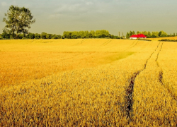 Названия 22 населённых пунктов из Воронежской области вошли в число самых смешных в стране