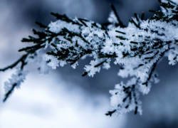 ВНИМАНИЕ! В Воронежской области объявили штормовое предупреждение из-за аномальных морозов