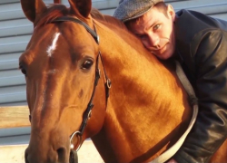  Как на Дону убивали лучший в стране конезавод и резали на колбасу элитные породы коней