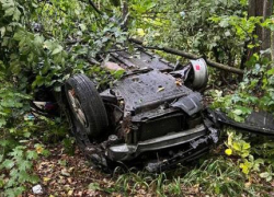Страшное ДТП под Борисоглебском: автомобиль «вырубил» лес