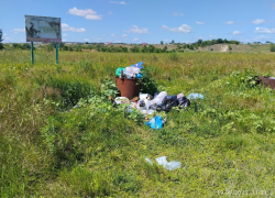   Администрации Борисоглебска указали на мусорку в районе пляжа села Петровское