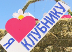 В Грибановском районе прошёл фестиваль «Клубничная поляна»