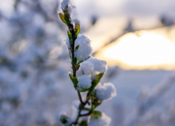 Резкое похолодание придёт в Воронежскую область на праздничных выходных