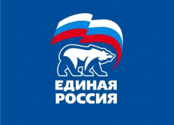 В исполкоме Борисоглебского отделения "ЕР" прокомментировали критику в Сети