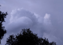 Дожди и грозы ожидаются в Воронежской области на этих выходных