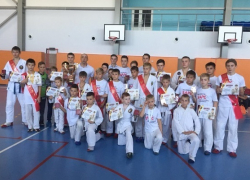 Борисоглебские рукопашники открыли сезон, завоевав 21 медаль на Межрегиональном турнире