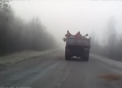 Воронежец снял на видео необычный способ борьбы с гололедом