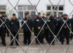 В тюрьмах Воронежской области отбывают наказание 5,7 тыс. человек