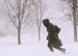 Жителей Воронежской области предупредили об опасном усилении ветра