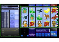 Подпольный зал игровых автоматов открыл в нежилом доме житель Грибановки