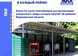 Борисоглебск не получит контейнеров для раздельного сбора мусора 
