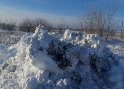 Борисоглебские коммунальщики завалили соленым снегом с городских улиц поле местного фермера