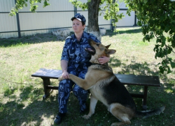 В Борисоглебске в честь Дня кинологической службы провели праздничные соревнования