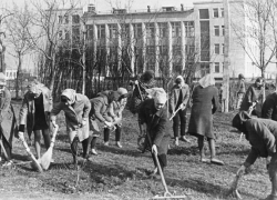 Новый градоначальник Борисоглебска предложил закрепить за предприятиями улицы города