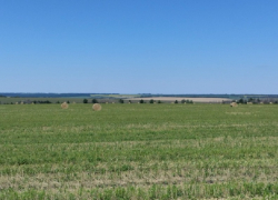 Жара до +34 градусов возвращается в Борисоглебск