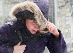 Спасатели предупредили жителей Воронежской области о сильном юго-западном ветре